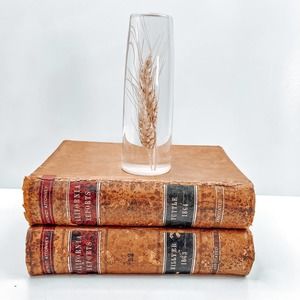 Large Vintage Mid Century Daisyglas Wheat in Lucite Art Decor